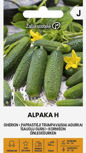 Gherkin Alpaka F1 Seed